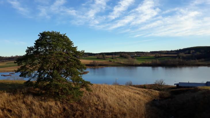 Kuvassa maalaismaisemaa