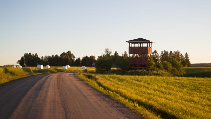 Kuvassa maalaismaisemaa