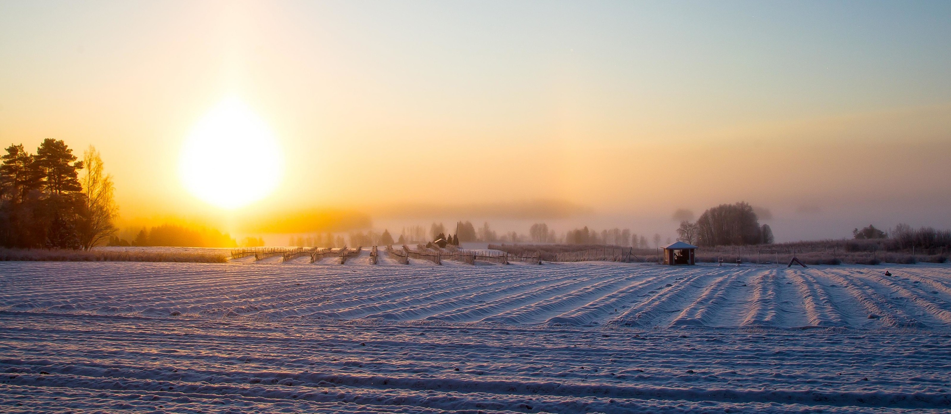 kuvassa on talvinen maalaismaisema