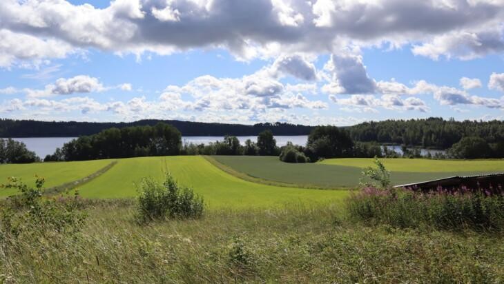 Kuvassa kesäinen maisema, jossa näkyy peltoja ja vettä