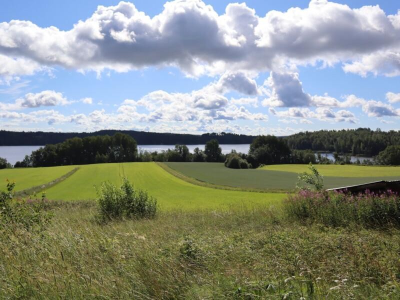 Kuvassa kesäinen maisema, jossa näkyy peltoja ja vettä